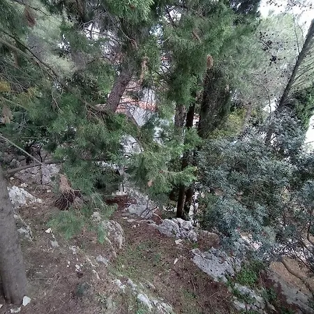 Kuca Za Odmor Pinjola